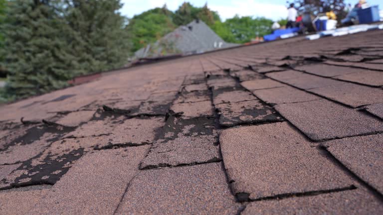 Best Rubber Roofing (EPDM, TPO)  in Martin, SD